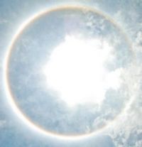 Rev_Halo Solar
